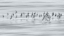 Picture of SILVERY FLIGHT