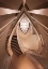 Picture of STAIRS