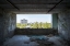Picture of VIEW AT PRIPYAT IN CHERNOBYL