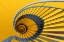 Picture of YELLOW SWIRL