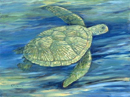 Picture of BLUE LAGOON SEA TURTLE III