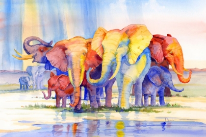 Picture of COLORFUL HERD
