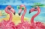 Picture of FLAMINGO GIRLFRIENDS HORIZONTAL