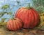 Picture of GLEANING AUTUMN - DOUBLE PUMPKIN - BRIGHT