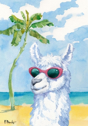 Picture of HIP SHADES LLAMA II