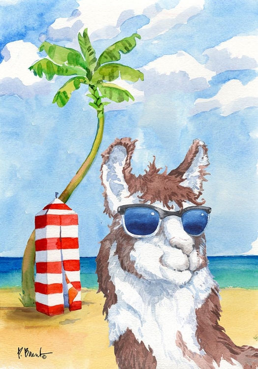 Picture of HIP SHADES LLAMA IV
