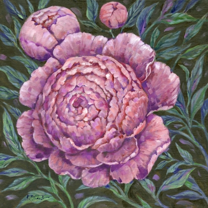 Picture of IMPRESSIONS OF PEONIES