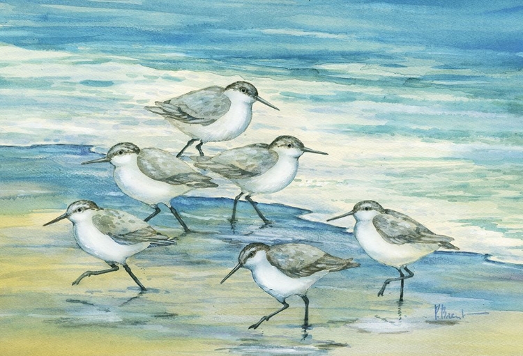 Picture of SURFSIDE SANDPIPERS