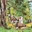 Picture of COWS UNDER A TREE I