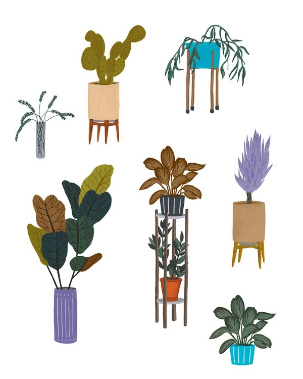 Picture of HOUSEPLANT CHART I