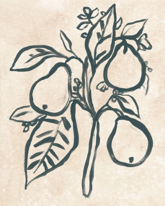 Picture of INK PEAR BRANCH I