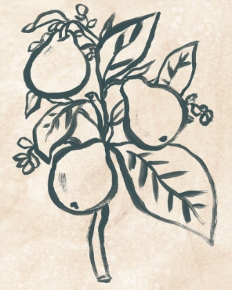 Picture of INK PEAR BRANCH II