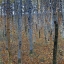 Picture of KLIMT MULTICOLOR LANDSCAPES I