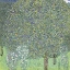 Picture of KLIMT MULTICOLOR LANDSCAPES III