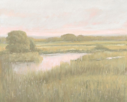 Picture of MARSH HORIZON AT DAWN I