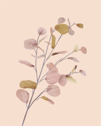 Picture of PASTEL FLOWERS II
