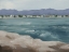 Picture of PERIWINKLE COVE I