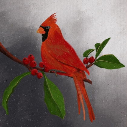 Picture of RED CARDINAL II
