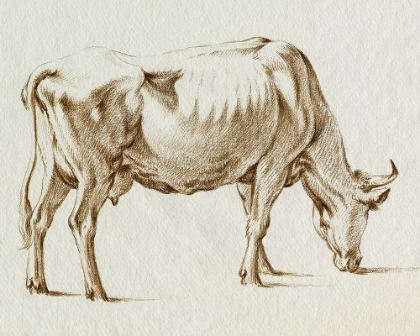 Picture of SEPIA GRAZING COW SKETCH I