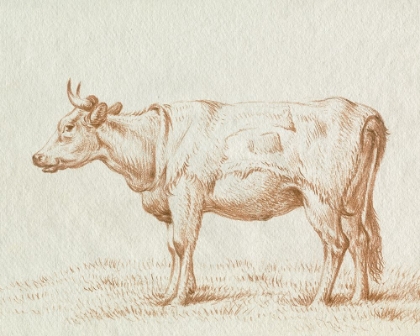 Picture of SEPIA GRAZING COW SKETCH II