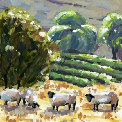 Picture of SHEEP IN SUMMER I