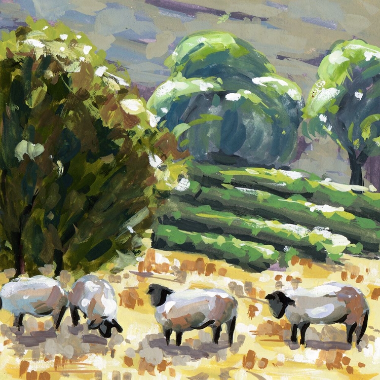 Picture of SHEEP IN SUMMER I
