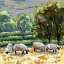Picture of SHEEP IN SUMMER II