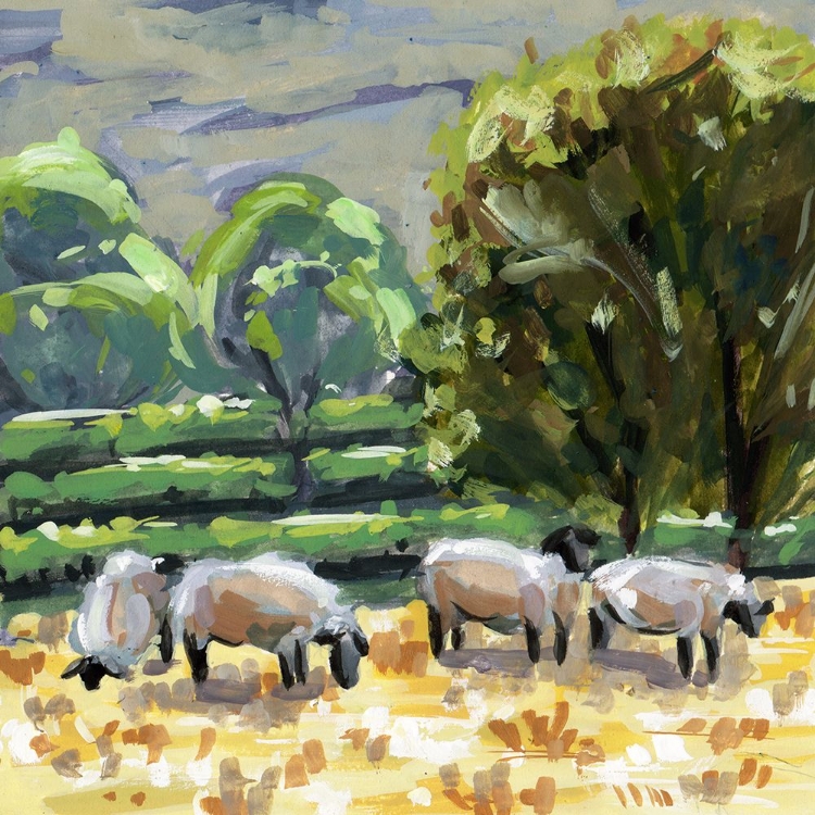 Picture of SHEEP IN SUMMER II