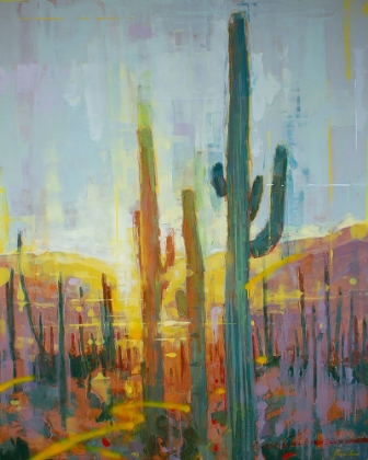Picture of SONORAN GOLDEN GLOW