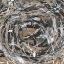 Picture of SPORADIC ENERGY I