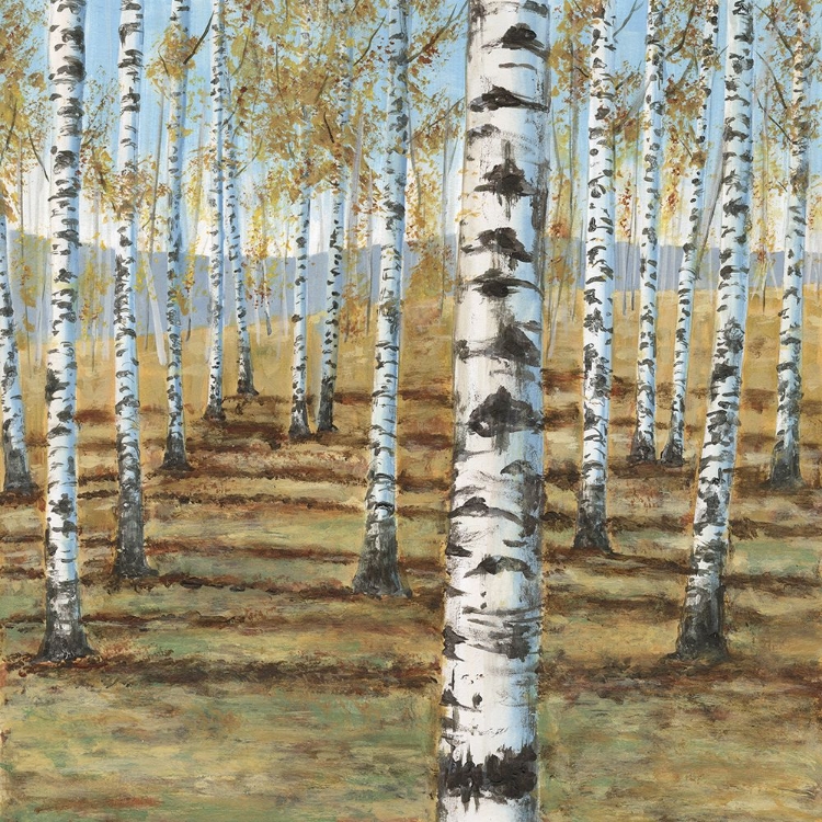 Picture of BIRCH HILLSIDE I