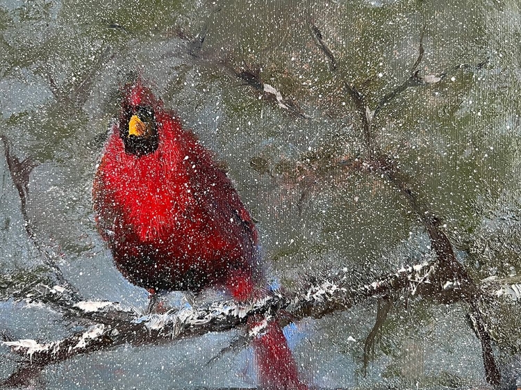 Picture of CARDINAL IN SNOW I