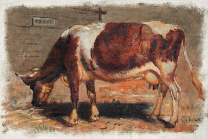 Picture of COLMAN COLOR STUDY OF COWS I