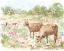 Picture of COW MEADOW II