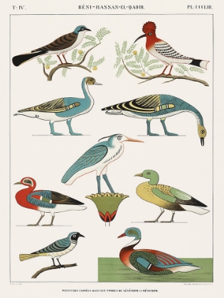 Picture of EGYPTIAN BIRD CHARTS I