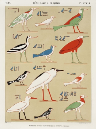 Picture of EGYPTIAN BIRD CHARTS II