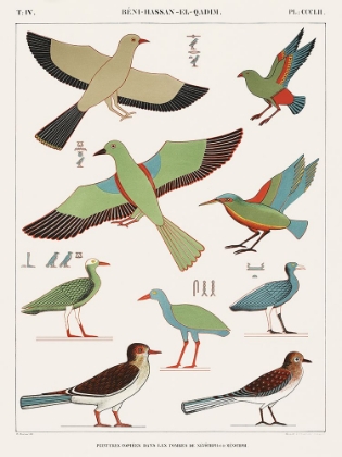 Picture of EGYPTIAN BIRD CHARTS III