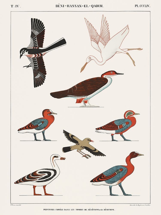 Picture of EGYPTIAN BIRD CHARTS IV