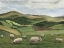 Picture of HIGHLAND SHEEP II