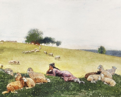 Picture of HOMERS SHEEP COUNTRYSIDE II