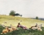Picture of HOMERS SHEEP COUNTRYSIDE II