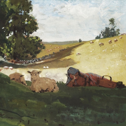 Picture of HOMERS SHEEP COUNTRYSIDE III