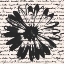Picture of INKY FLORAL II