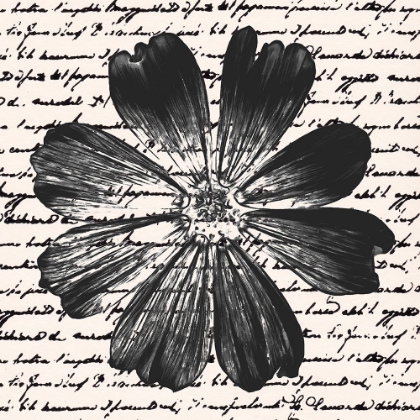 Picture of INKY FLORAL IV