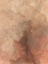Picture of MARBLE GROUND I