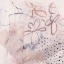 Picture of MIRAGE DE FLEUR III