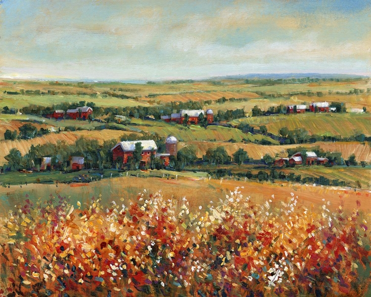 Picture of RURAL OPEN LANDSCAPE I