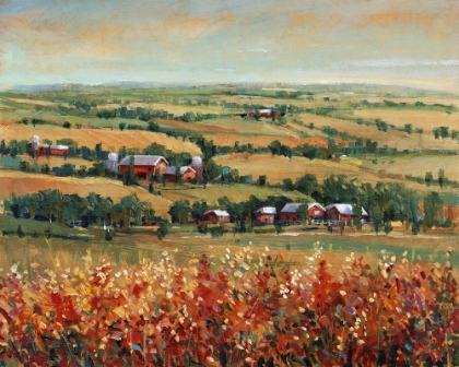 Picture of RURAL OPEN LANDSCAPE II