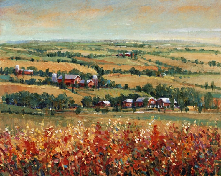 Picture of RURAL OPEN LANDSCAPE II