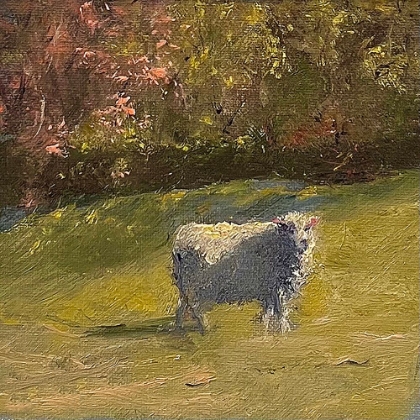 Picture of SHEEP IN FIELD IV